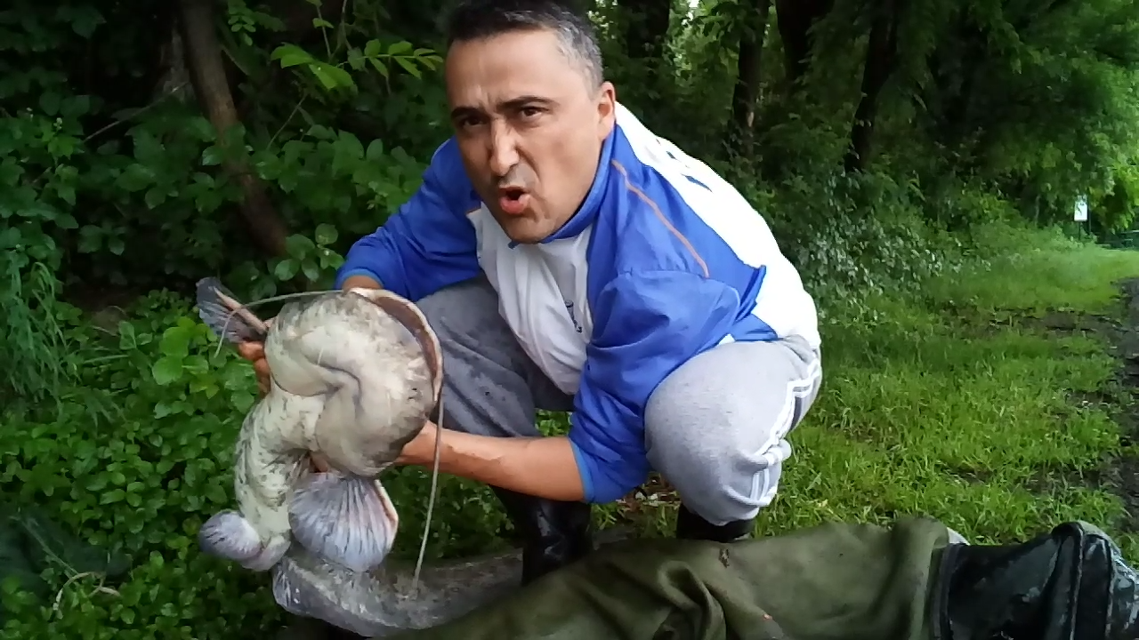 ISOLA DEL PESCATORE 28 - 29 mai 2018 - screenshot2018-05-29-09-18-01.png